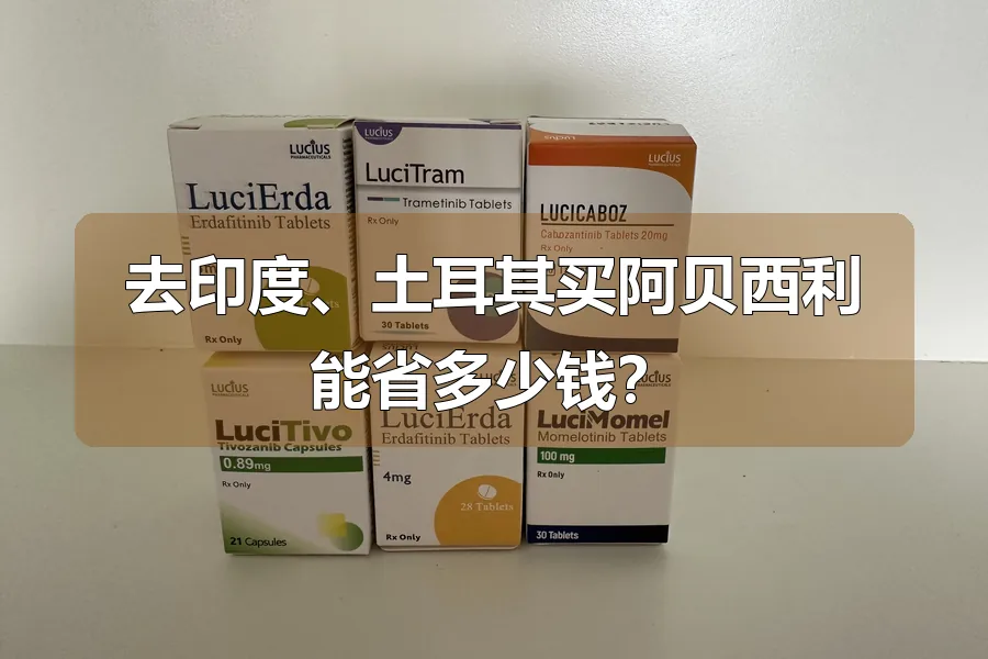 去印度、土耳其买阿贝西利能省多少钱?