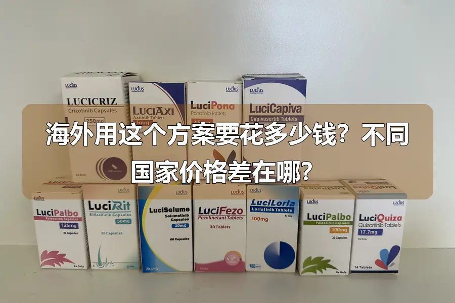 海外用这个方案要花多少钱？不同国家价格差在哪？